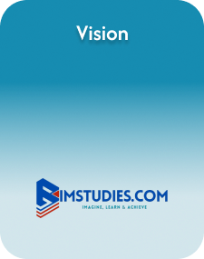 vision